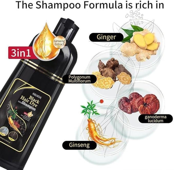 3-in-1 Hair Dye Shampoo